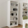 Bookshelf Open 